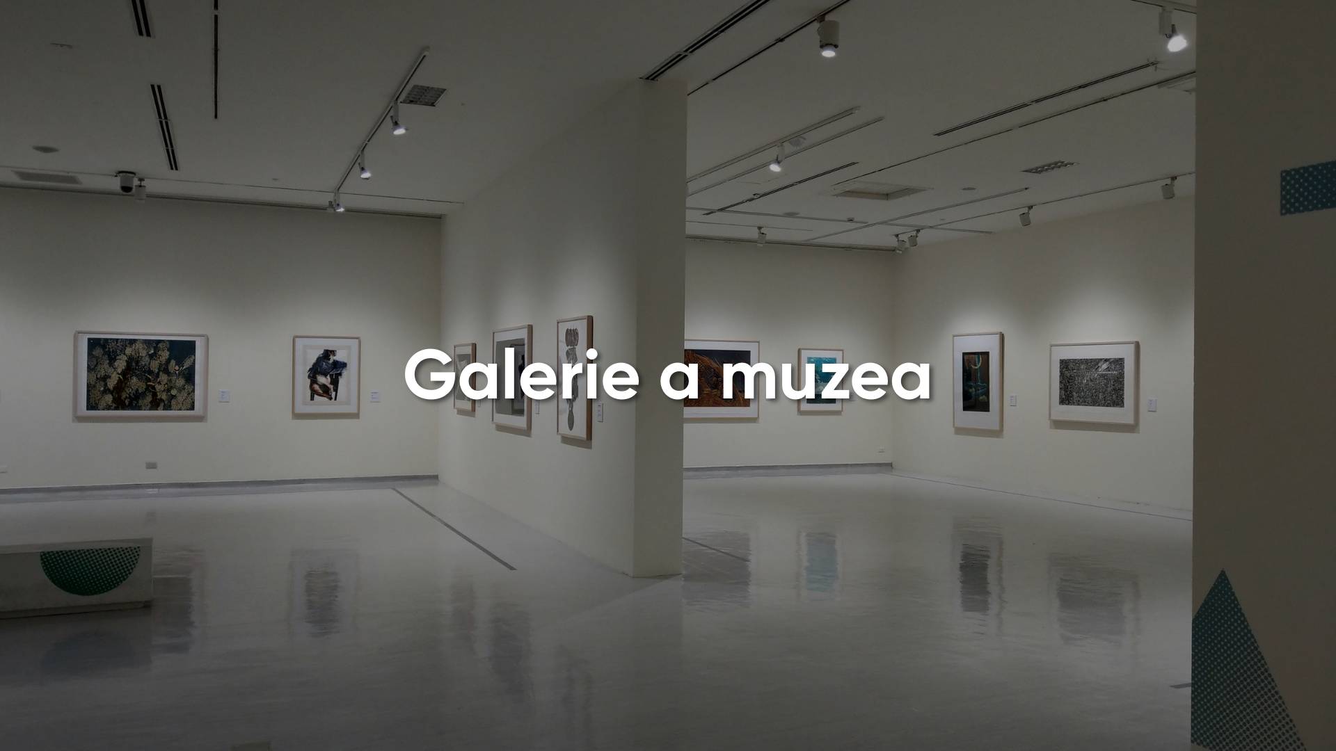 Galerie a muzea